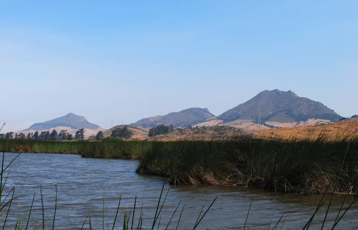 Green hills and volcanic peaks of the Nine Sisters in San Luis Obispo County near septic service areas